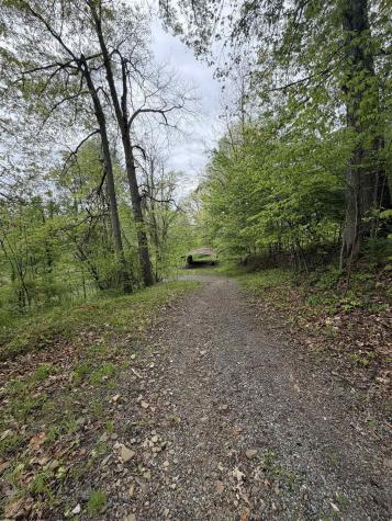 3112 Back Road Mill Creek WV 26280