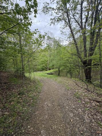 3112 Back Road Mill Creek WV 26280