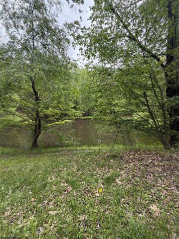 3112 Back Road Mill Creek WV 26280