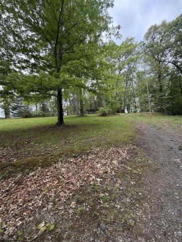3112 Back Road Mill Creek WV 26280
