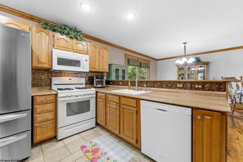 718 Trap Springs Road Grafton WV 26354