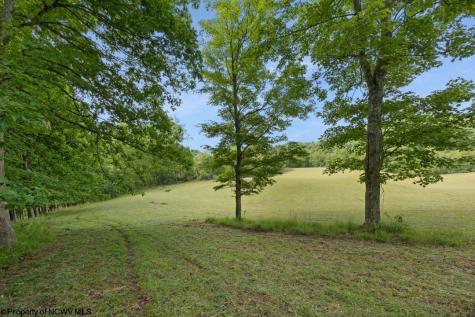 4038 Abbott Road French Creek WV 26218