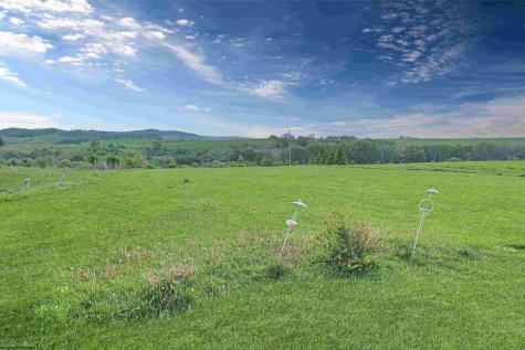 1003 Brandonville Pike Terra Alta WV 26764