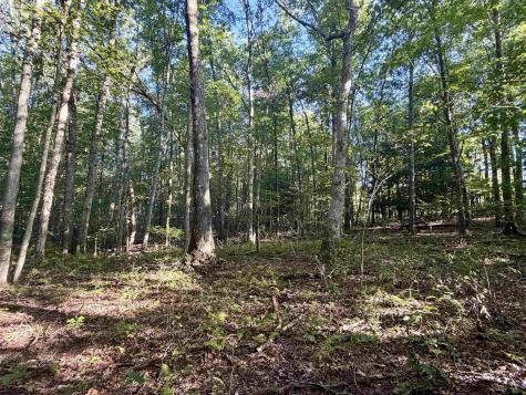 166 Tom Turner Road Independence WV 26374