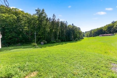 79 Liming Ridge Road Burton WV 26562
