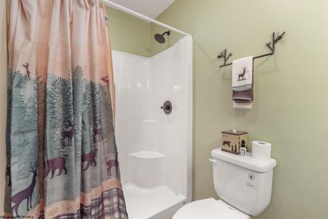 597 Pine Drive Terra Alta WV 26764