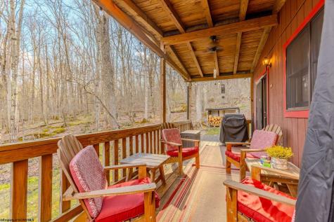 597 Pine Drive Terra Alta WV 26764