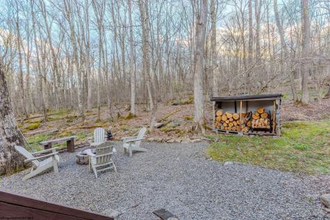 597 Pine Drive Terra Alta WV 26764