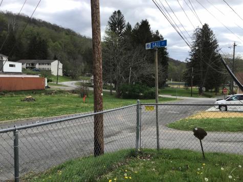 407 Gall Street Philippi WV 26416