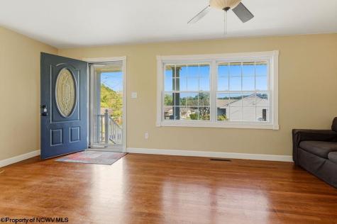 533 Watson Street Bridgeport WV 26330-9999