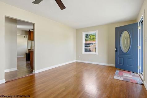 533 Watson Street Bridgeport WV 26330-9999