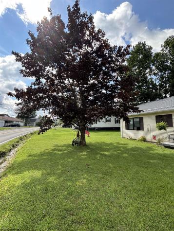 383 Crystal Springs Road Elkins WV 26241