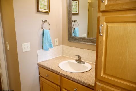 310 Auburn Hills Drive Bruceton Mills WV 26525