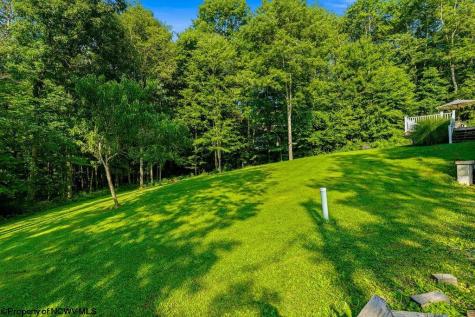 310 Auburn Hills Drive Bruceton Mills WV 26525