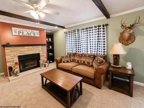 84 Thorne Drive Rivesville WV 26588