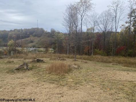 0 Rocky Lane Volga WV 26238