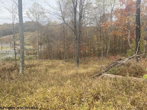 0 Rocky Lane Volga WV 26238