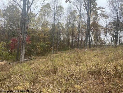 0 Rocky Lane Volga WV 26238