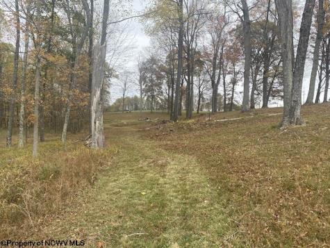 0 Rocky Lane Volga WV 26238