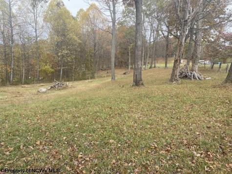 0 Rocky Lane Volga WV 26238