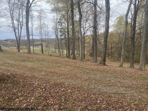 0 Rocky Lane Volga WV 26238