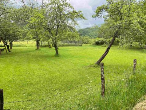 8705 Glady Fork Road Bowden WV 26254