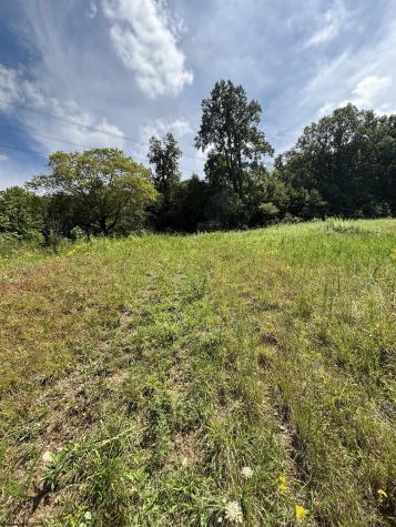 1088 Campbells Run Road Metz WV 26585