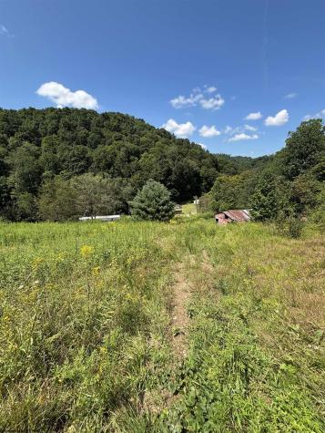 1088 Campbells Run Road Metz WV 26585
