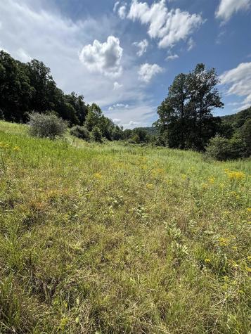 1088 Campbells Run Road Metz WV 26585