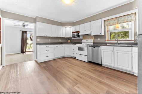 1539 Long Hollow Road Masontown WV 26542