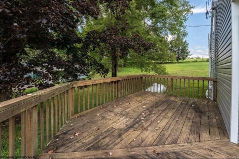 1539 Long Hollow Road Masontown WV 26542