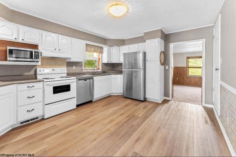 1539 Long Hollow Road Masontown WV 26542