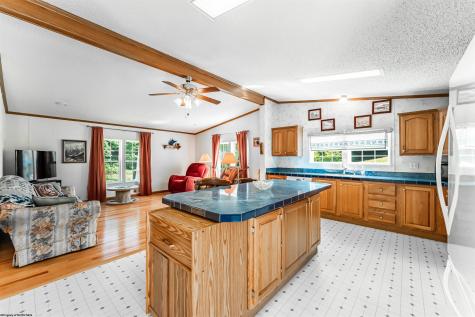 859 Statler Run Road Fairview WV 26570