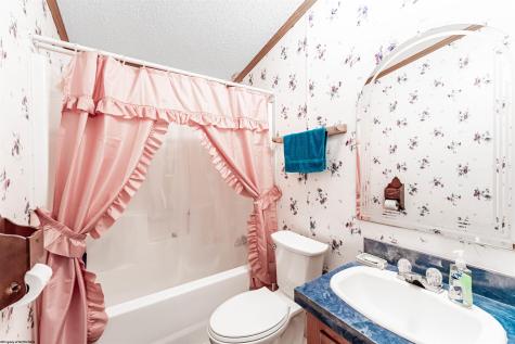 859 Statler Run Road Fairview WV 26570
