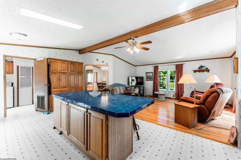 859 Statler Run Road Fairview WV 26570