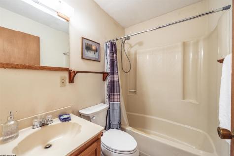 48 Chickadee Drive Davis WV 26260