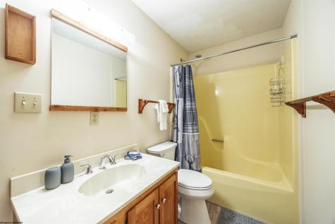 48 Chickadee Drive Davis WV 26260