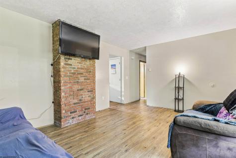 1366 Deer Haven Road Bruceton Mills WV 26525