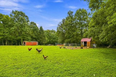 1366 Deer Haven Road Bruceton Mills WV 26525