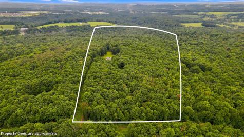1366 Deer Haven Road Bruceton Mills WV 26525