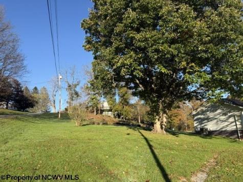 125 Beacon Street Belington WV 26250