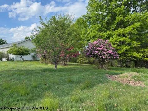 15 Pine Ridge Lane Fairmont WV 26554