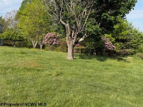 15 Pine Ridge Lane Fairmont WV 26554