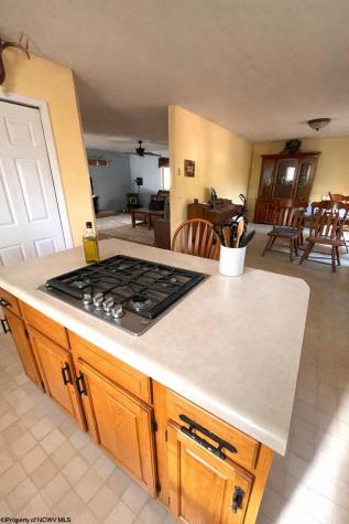 247 Mount Zion Lane Moatsville WV 26405