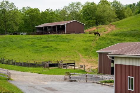 5698 Morgantown Pike Belington WV 26250