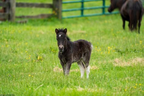 5698 Morgantown Pike Belington WV 26250