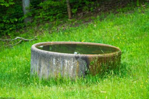 5698 Morgantown Pike Belington WV 26250