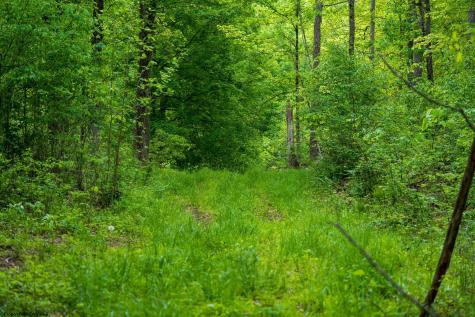 5698 Morgantown Pike Belington WV 26250