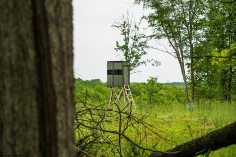 5698 Morgantown Pike Belington WV 26250