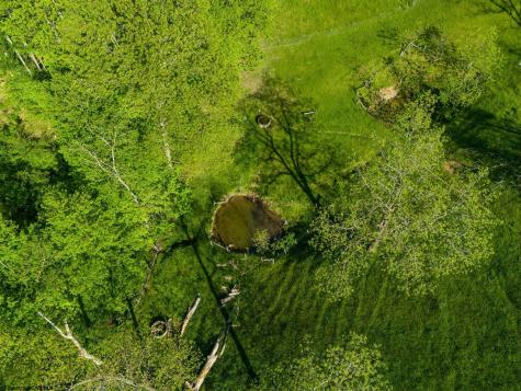 5698 Morgantown Pike Belington WV 26250